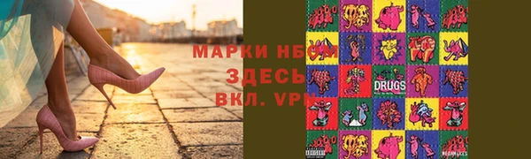 СК Туринск