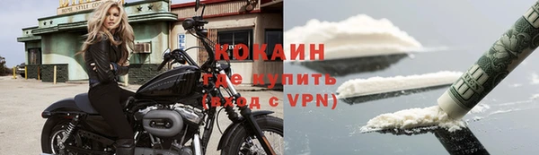СК Туринск