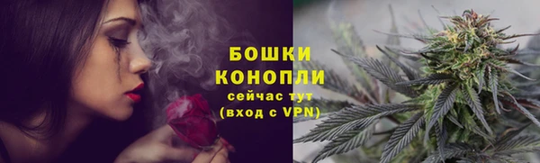 СК Туринск