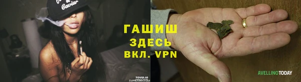 индика Тобольск