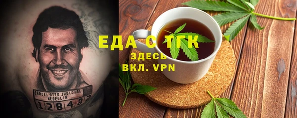 СК Туринск