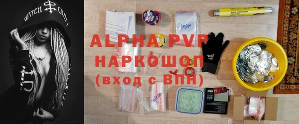 СК Туринск