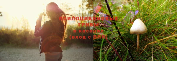 круглые Тында