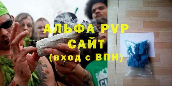 СК Туринск