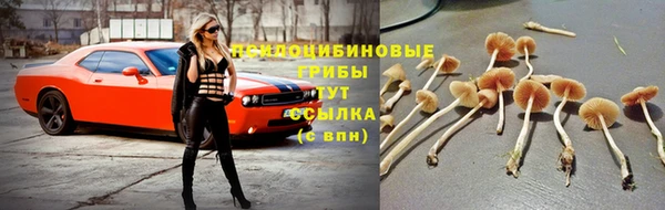 СК Туринск