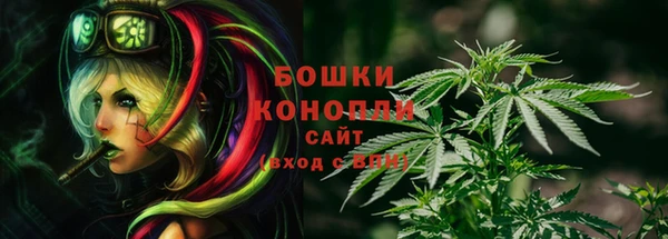 СК Туринск